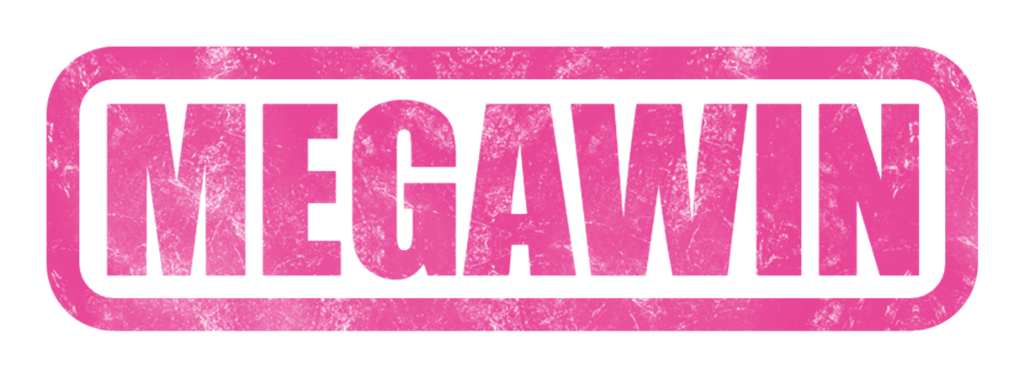 vs-logo-img